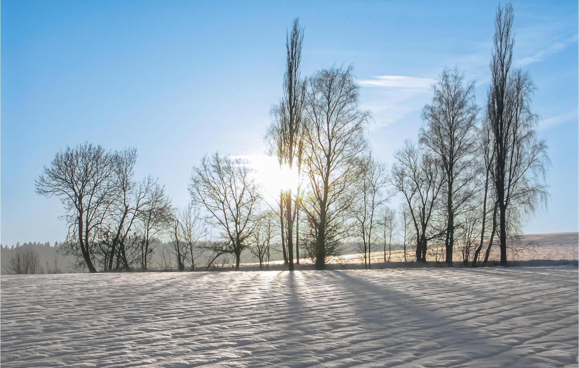 Gorgeous Home In Waldthurn With Wifi エクステリア 写真